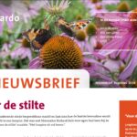 nieuwsbrief img