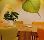 inloopuur (2)